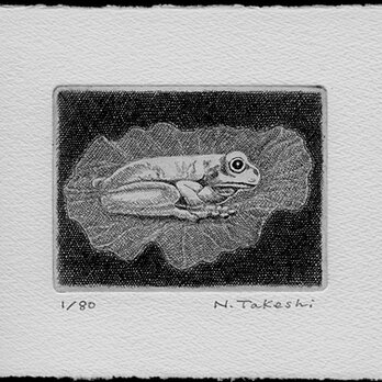 蓮の上の蛙/銅版画 (作品のみ）の画像